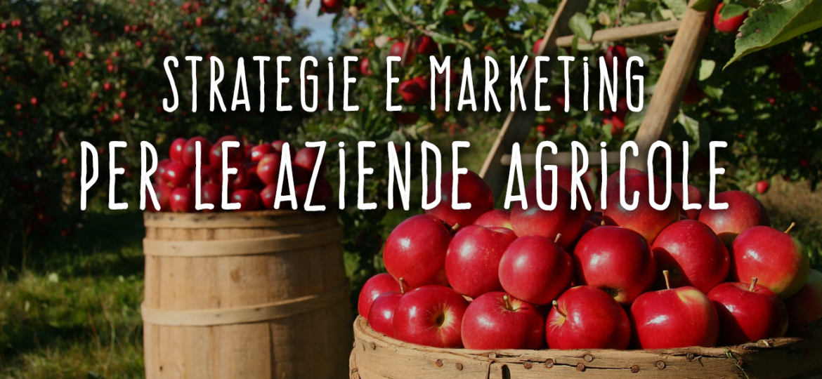 web-marketing-per-aziende-agricole